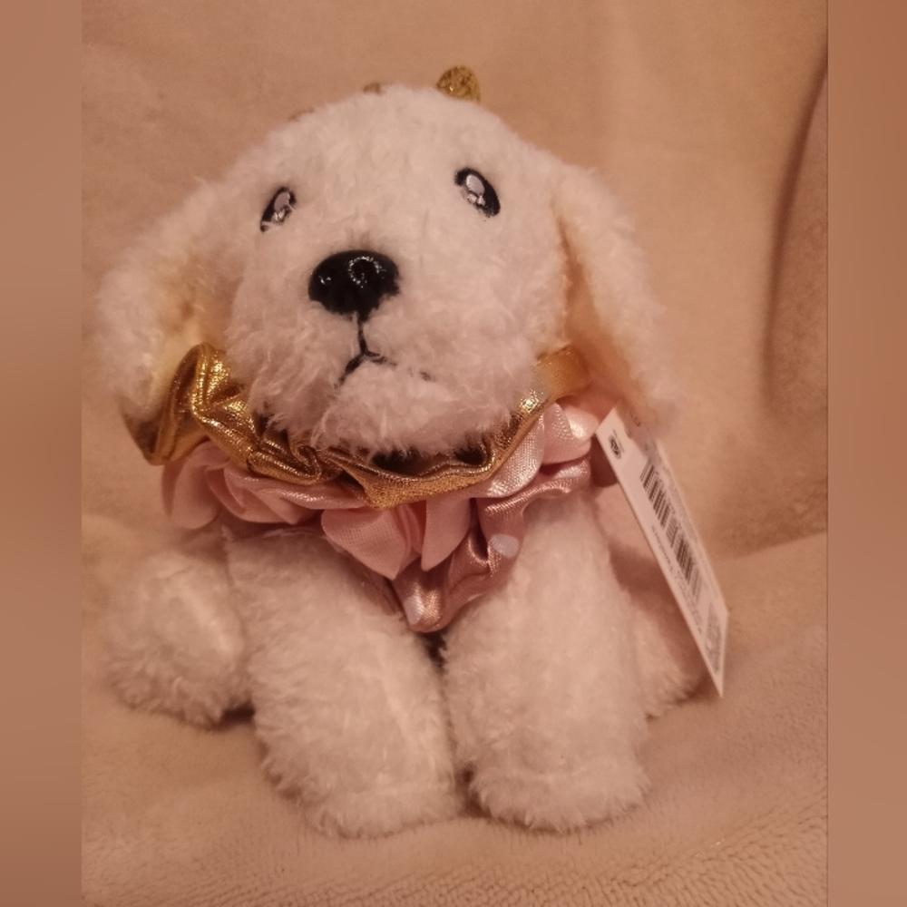 Puppy with hair ties.